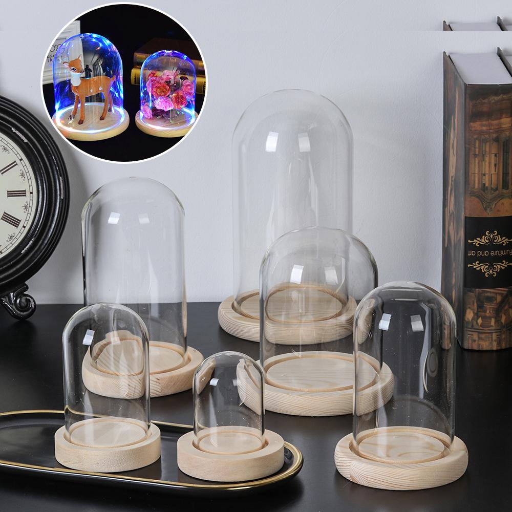 Home Decor Plants Jar Terrariu - Home Decor Flowers reseña y precio