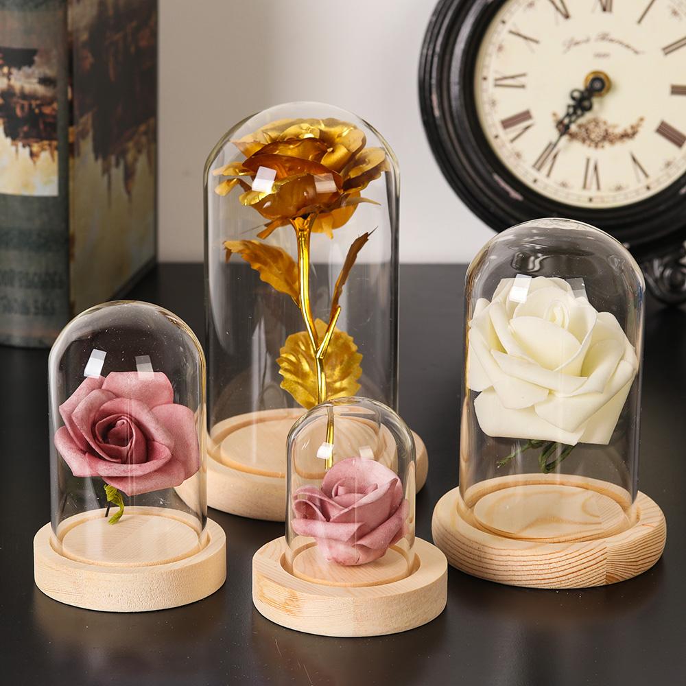 Home Decor Plants Jar Terrariu - Home Decor Flowers reseña y precio