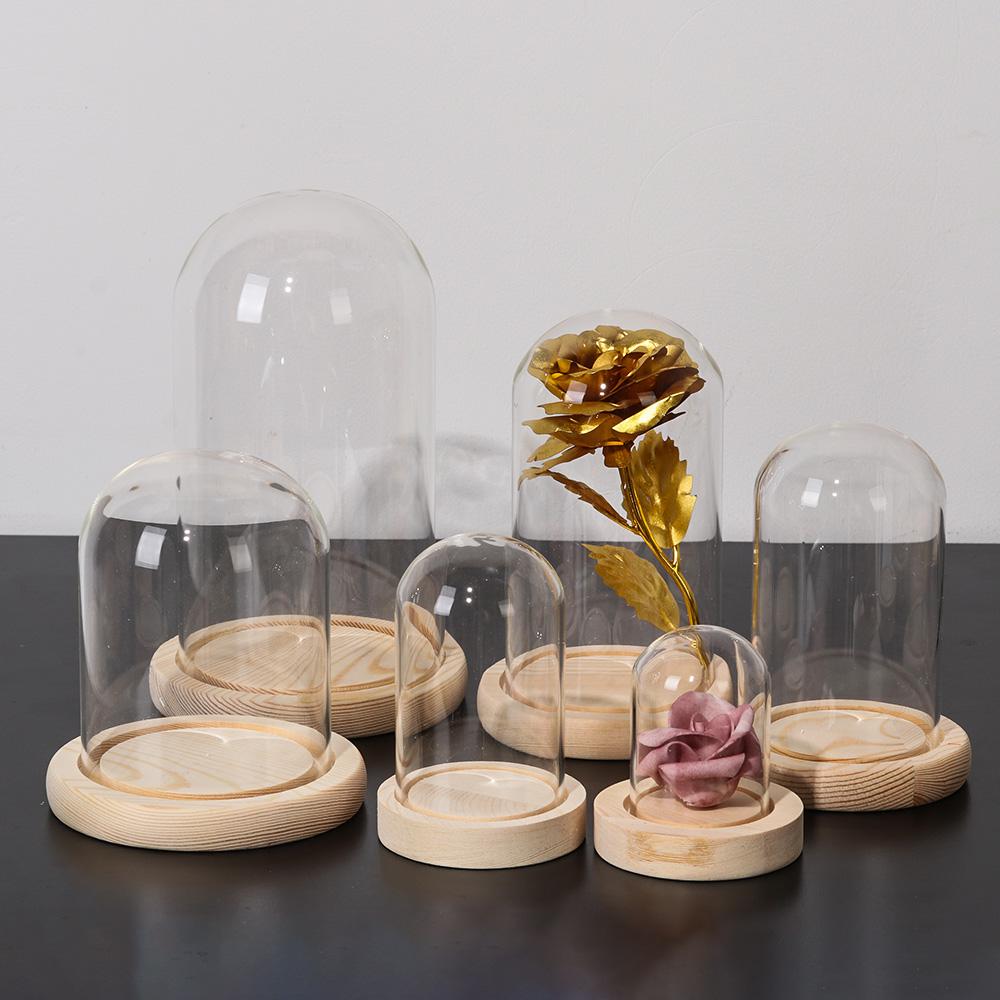 Home Decor Plants Jar Terrariu - Home Decor Flowers reseña y precio