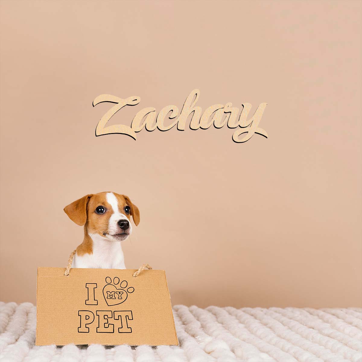 1pc home decor Zachary example - Home Decor Examples reseña y precio